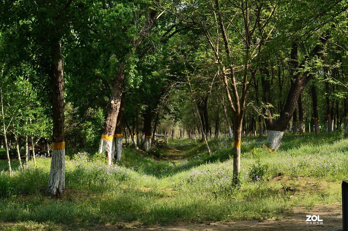 永诺35mm F2 镜头  体练随拍