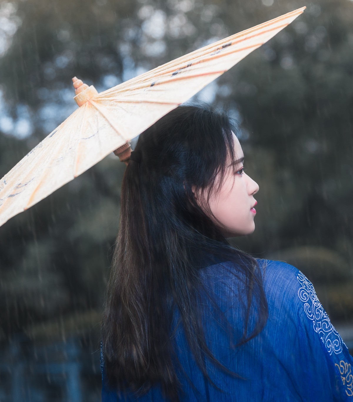 听雨-中关村在线摄影论坛