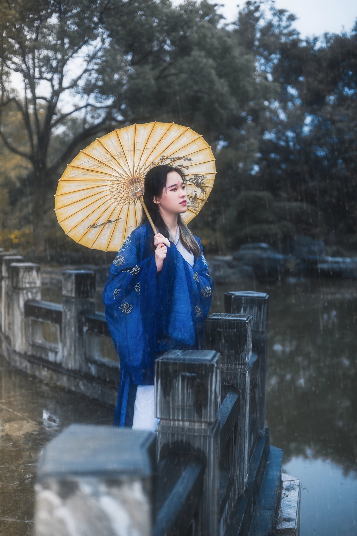 听雨-中关村在线摄影论坛