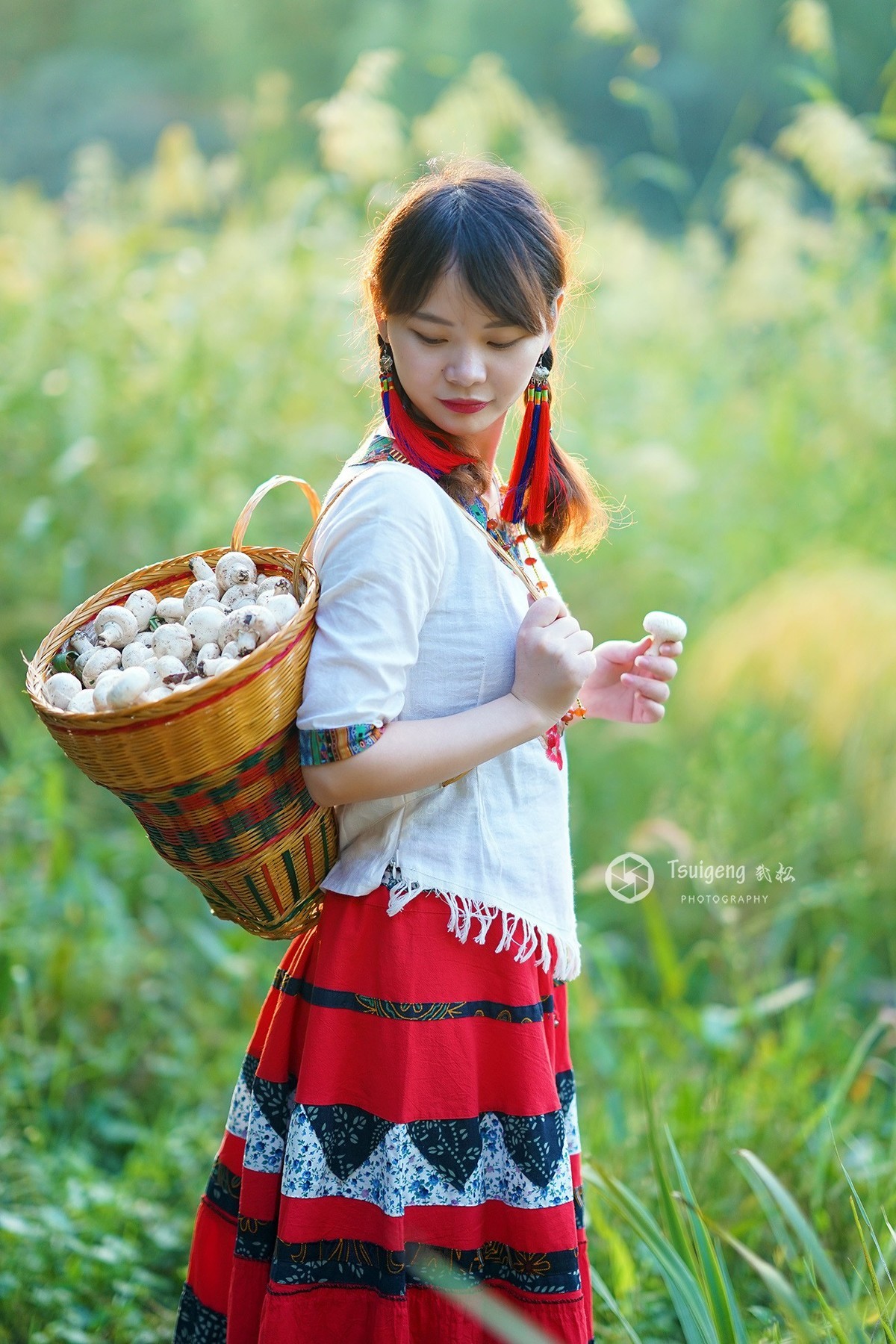 采蘑菇的姑娘