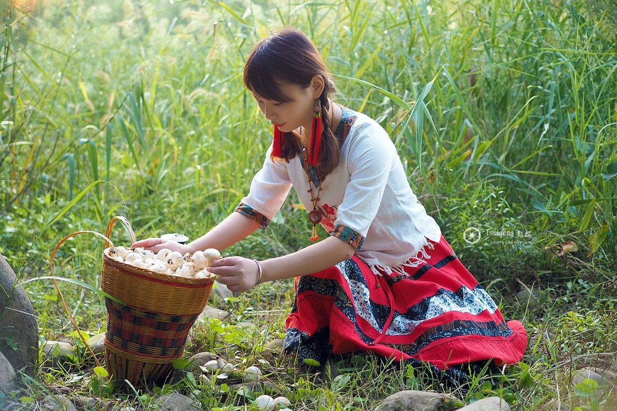 采蘑菇的姑娘