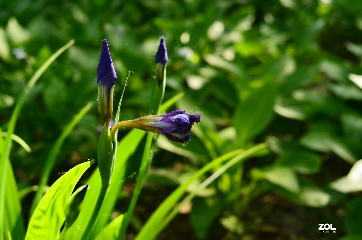 永诺35mm F2 镜头  体练随拍