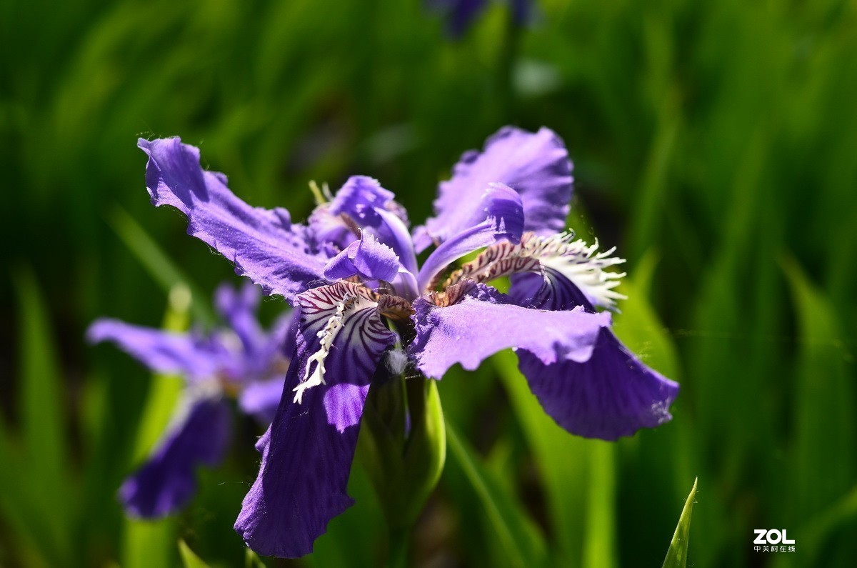 永诺35mm F2 镜头  体练随拍