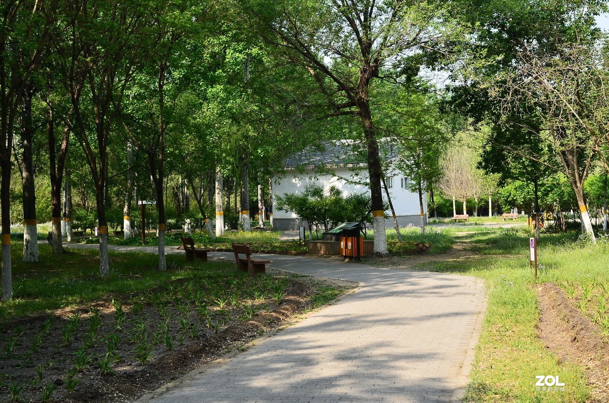 永诺35mm F2 镜头  体练随拍
