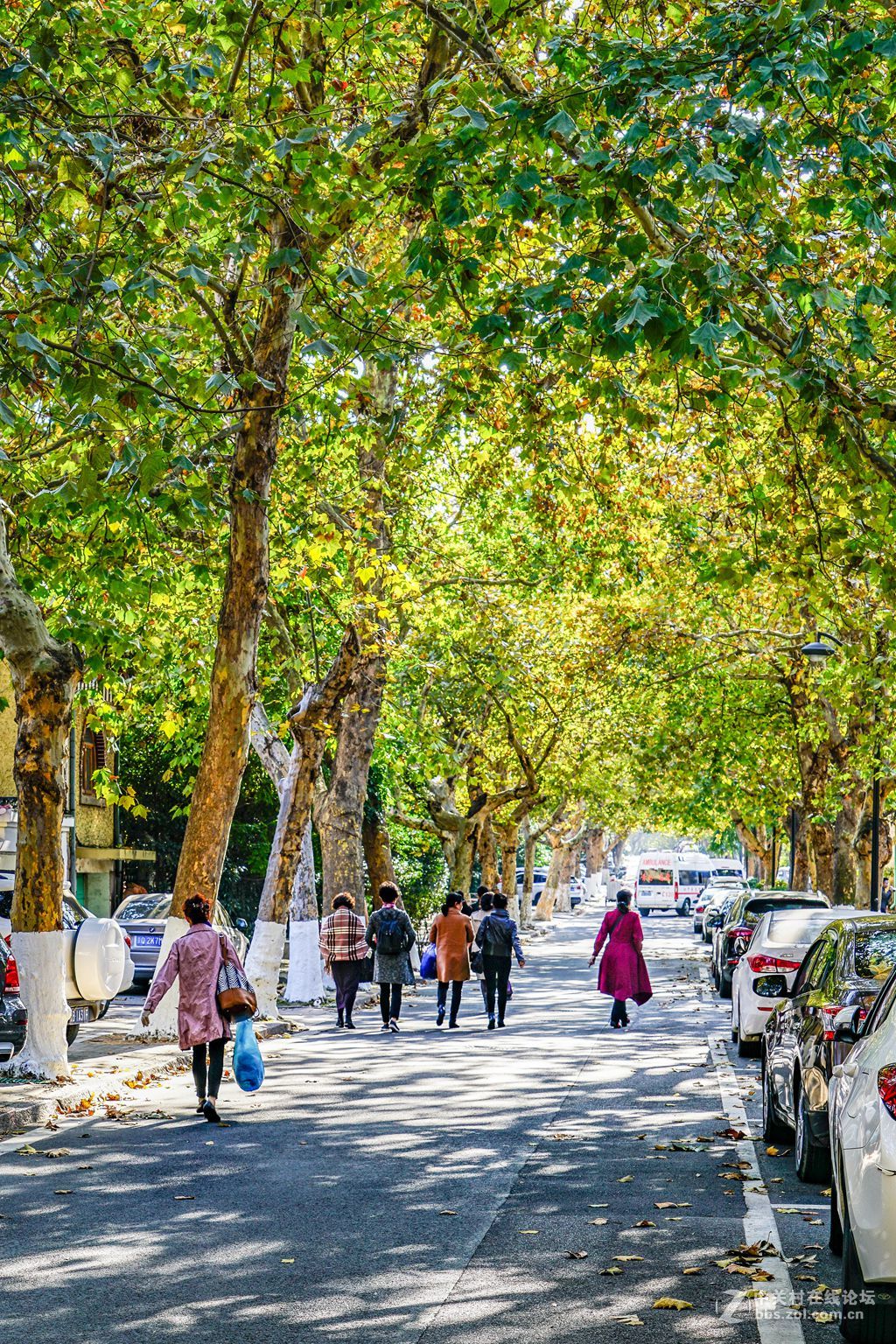 荣成路（1）