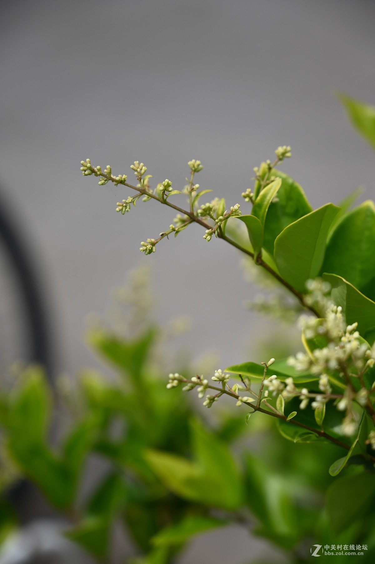 刚拿到手就出去乱拍一通