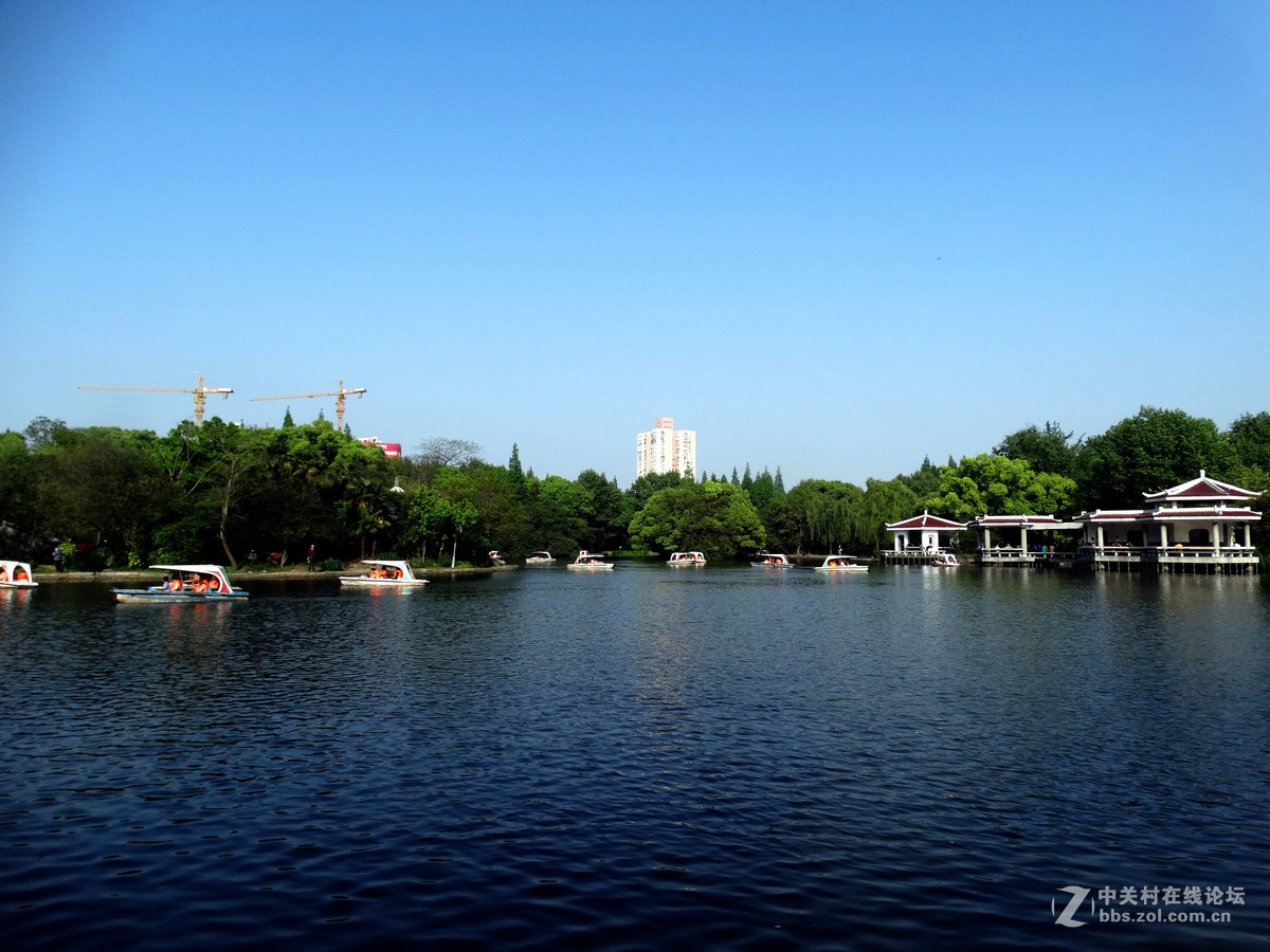 劳动节杨浦公园纪实