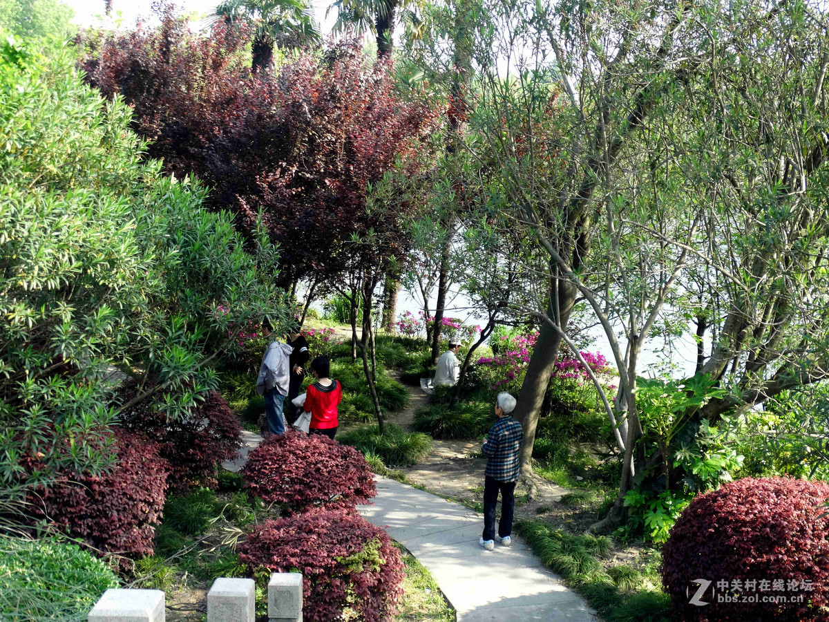 劳动节杨浦公园纪实