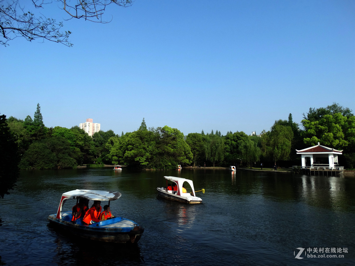 劳动节杨浦公园纪实