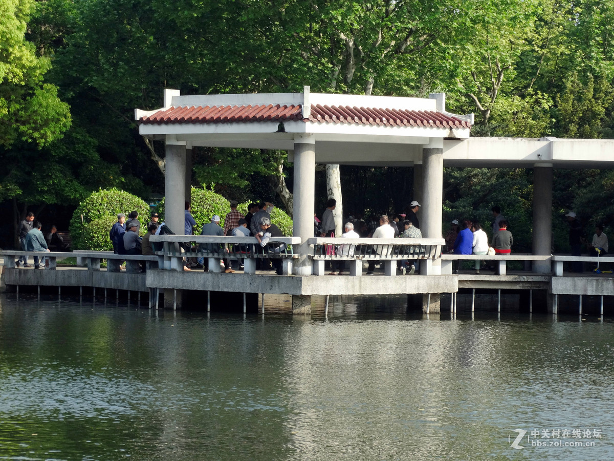 劳动节杨浦公园纪实