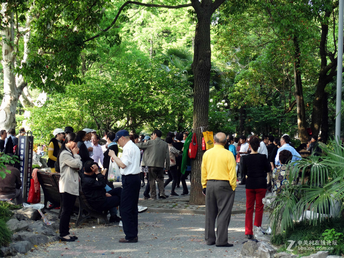 劳动节杨浦公园纪实