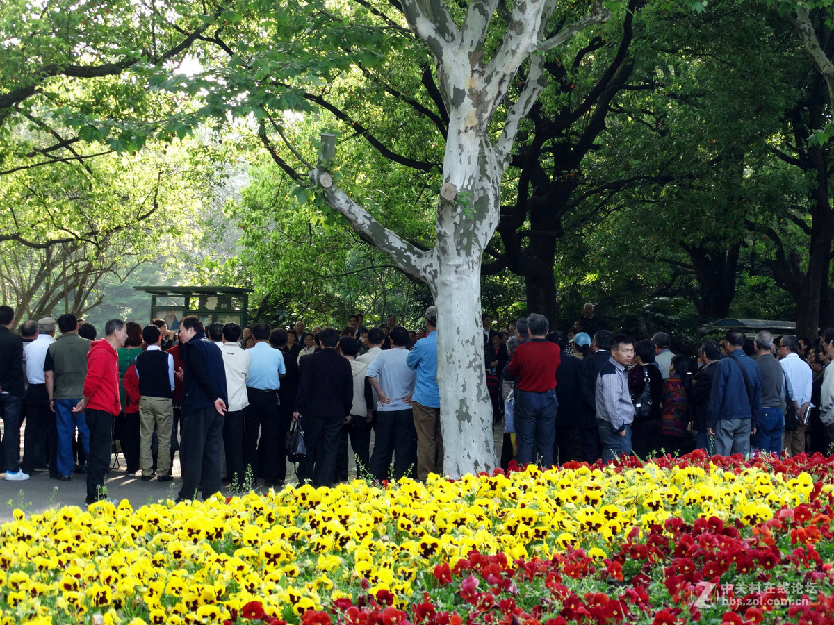 劳动节杨浦公园纪实