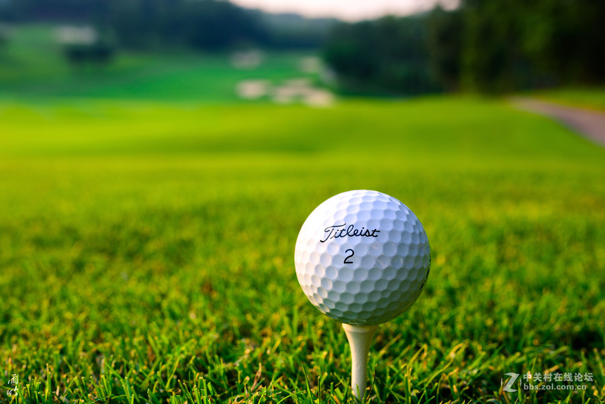 一颗高尔夫球的奇妙之旅