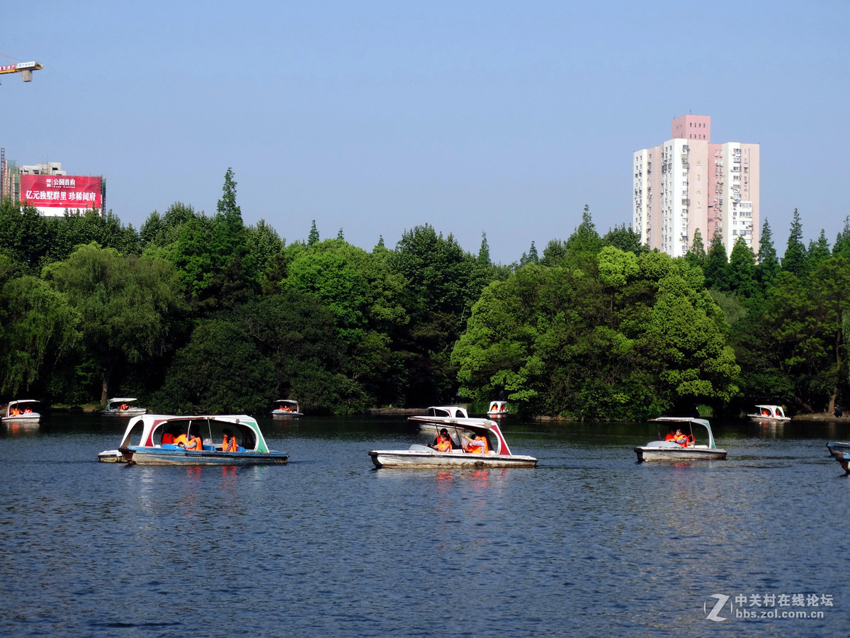 劳动节杨浦公园纪实