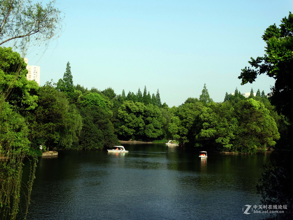 劳动节杨浦公园纪实