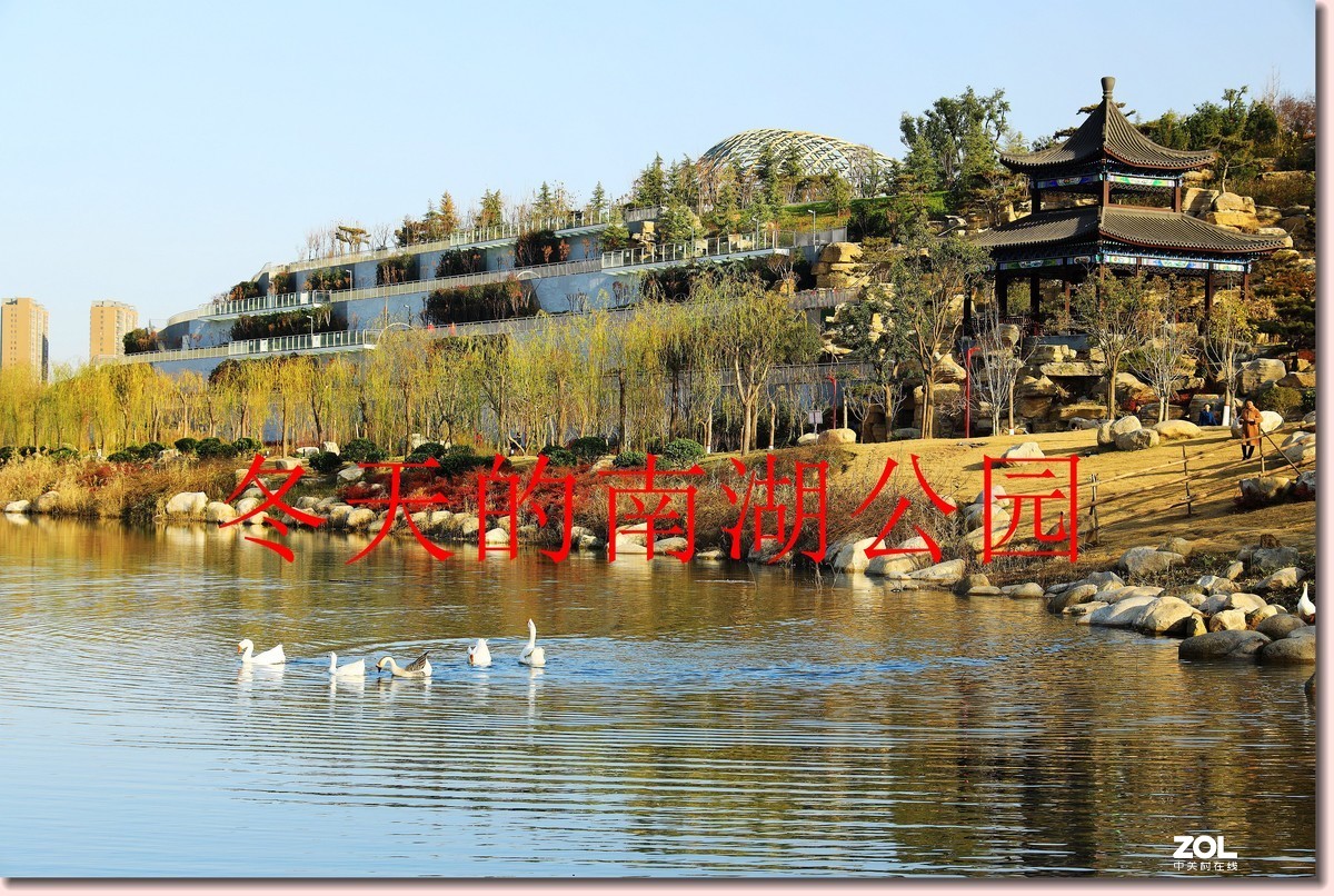 南湖公园随拍《5》