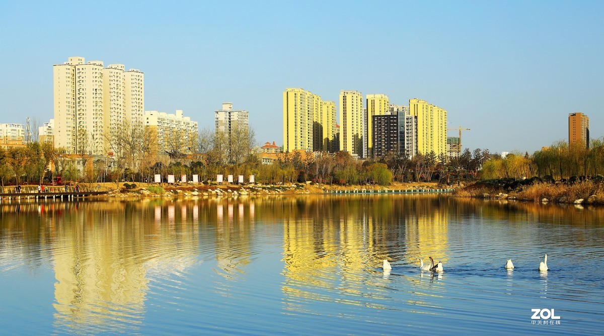 南湖公园随拍《5》