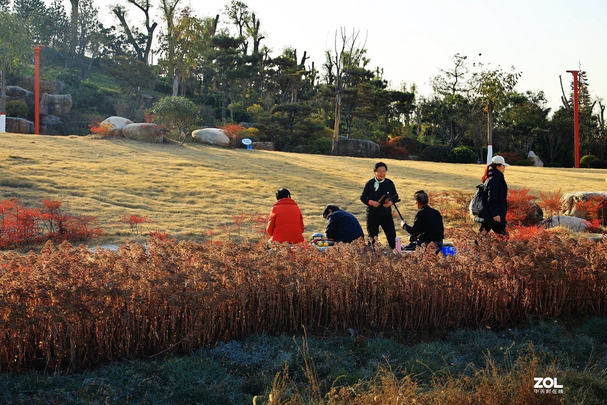 南湖公园随拍《5》