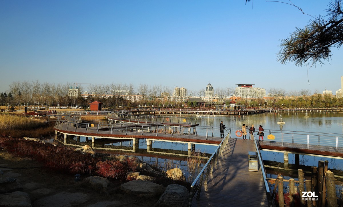 南湖公园随拍《5》