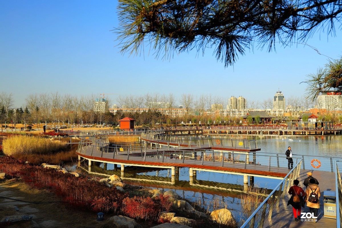 南湖公园随拍《5》