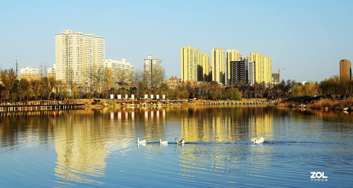 南湖公园随拍《5》