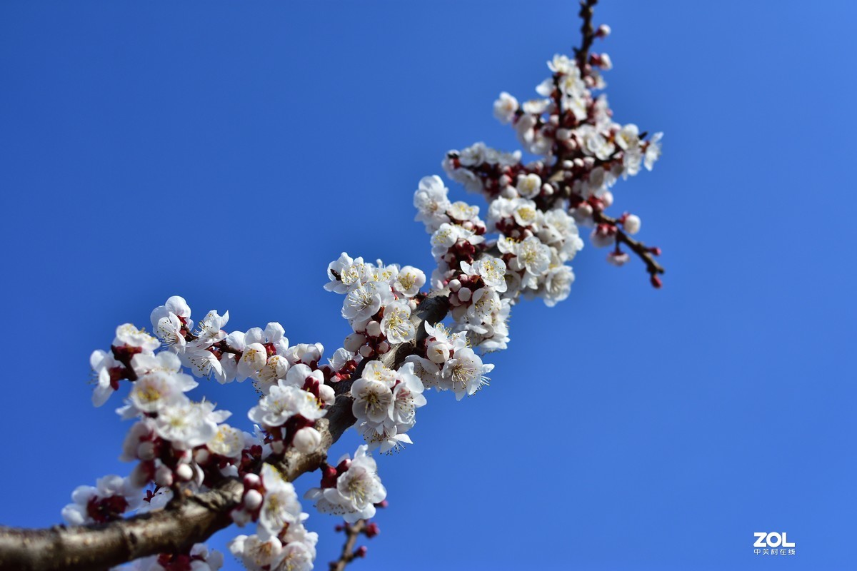 #版主坐堂# 尼康镜头星空(中国)2020年4月部分优秀作品欣赏