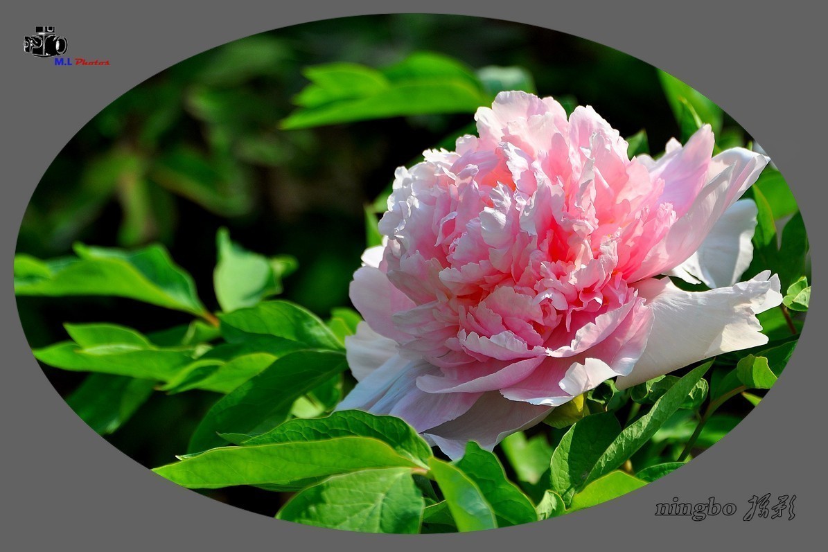 #版主坐堂# 尼康镜头星空(中国)2020年4月部分优秀作品欣赏