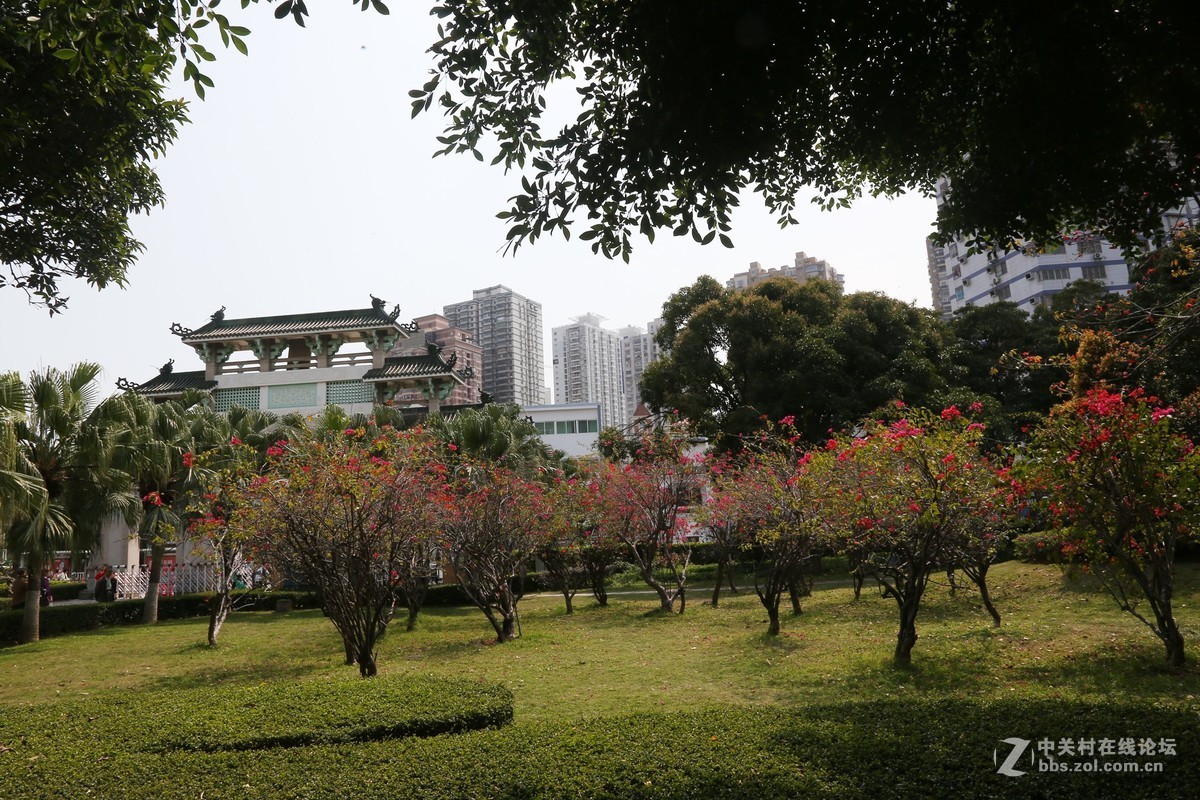 美麗的廈門中山公園風光攝影-中關村在線攝影論壇