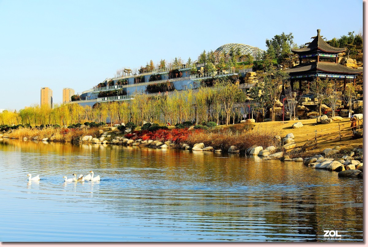 南湖公园随拍《5》