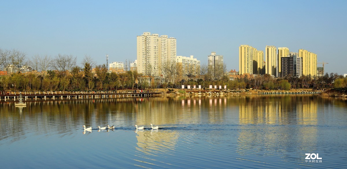 南湖公园随拍《5》