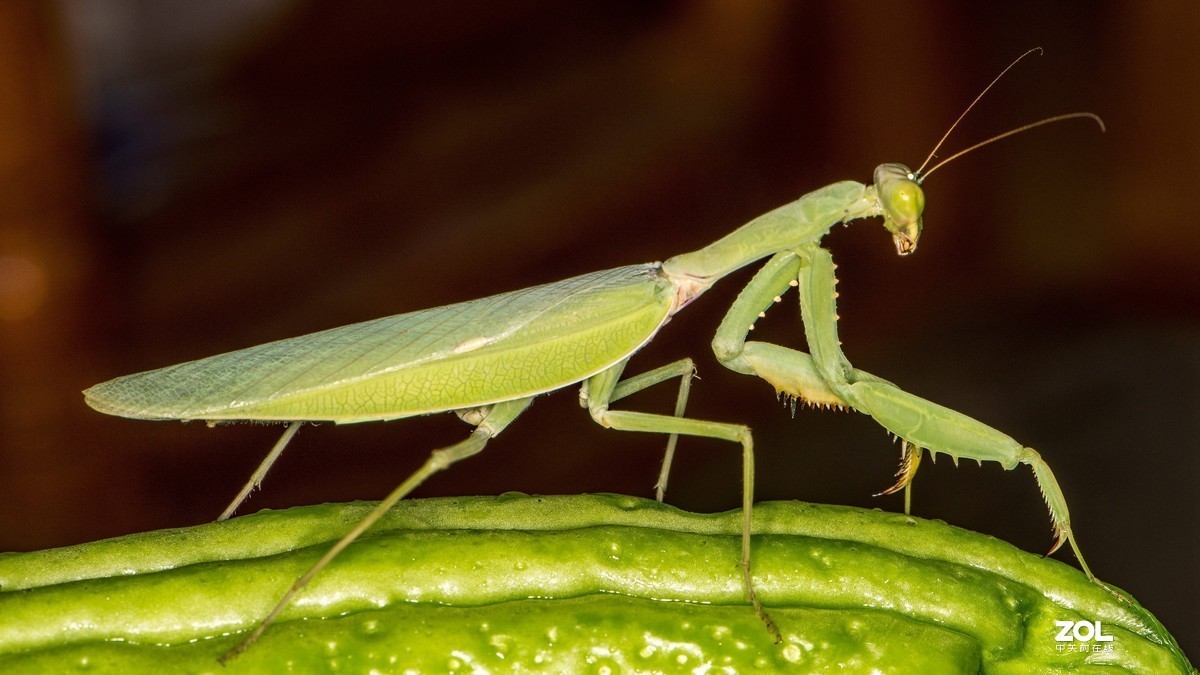 #版主坐堂# 尼康镜头星空(中国)2020年4月部分优秀作品欣赏