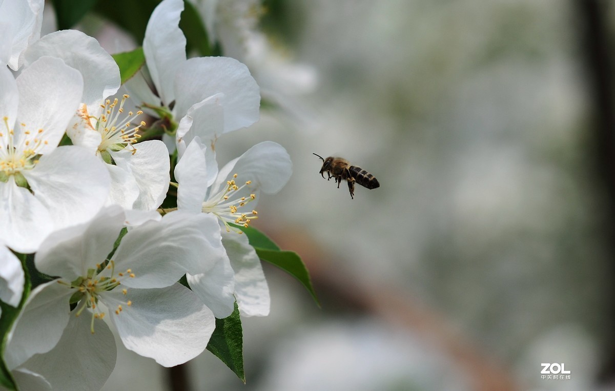 #版主坐堂# 尼康镜头星空(中国)2020年4月部分优秀作品欣赏