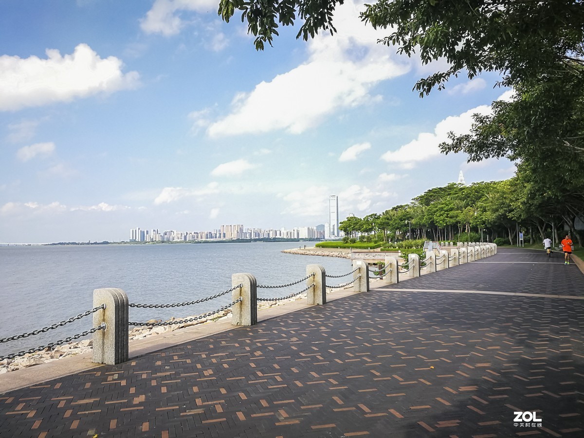 深圳湾红树林公园 ~ 掠影