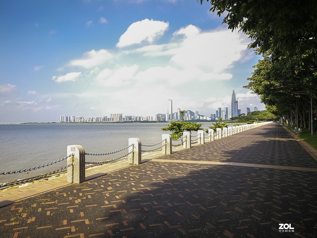 深圳湾红树林公园 ~ 掠影