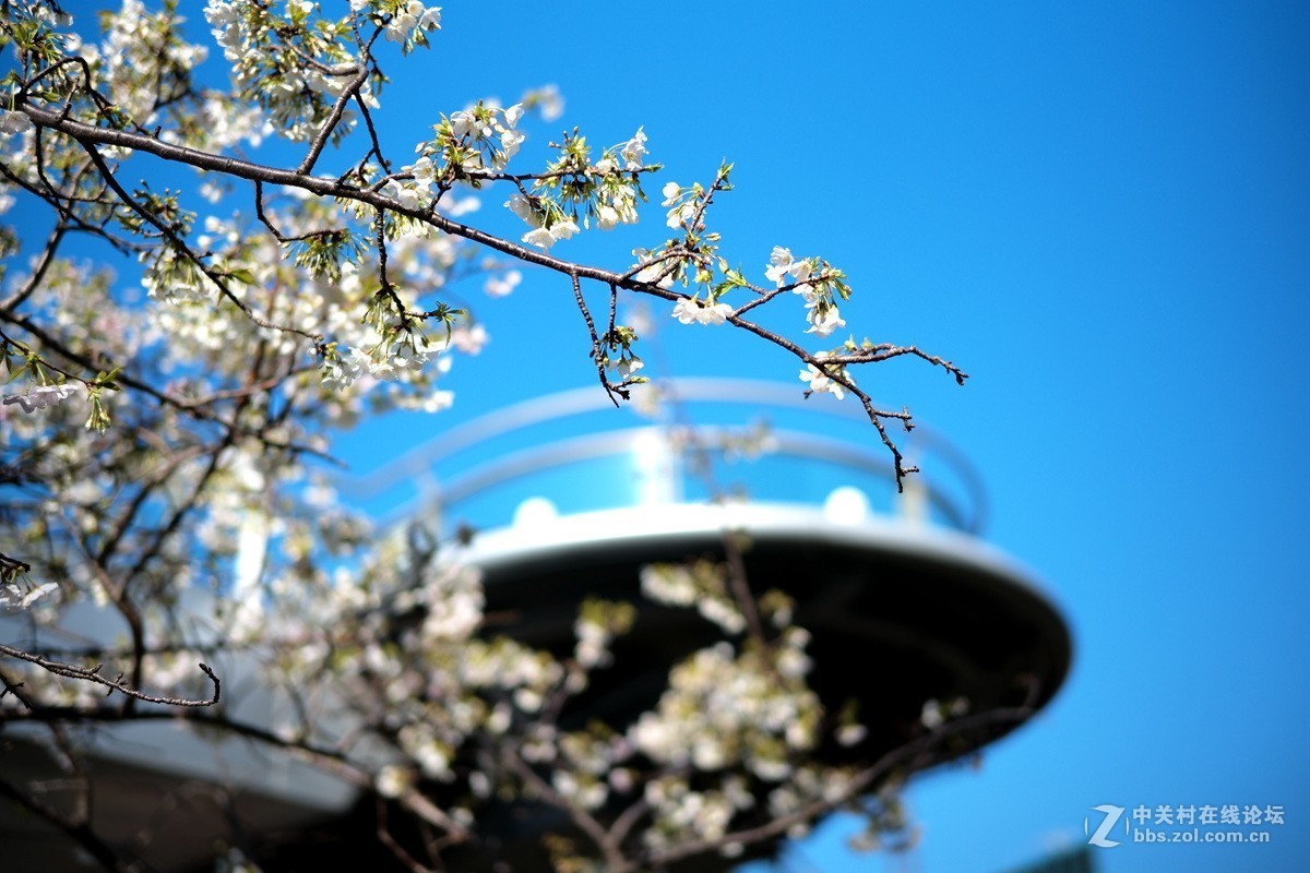 福伦达50-1.2是个非常好的头，值得拥有。