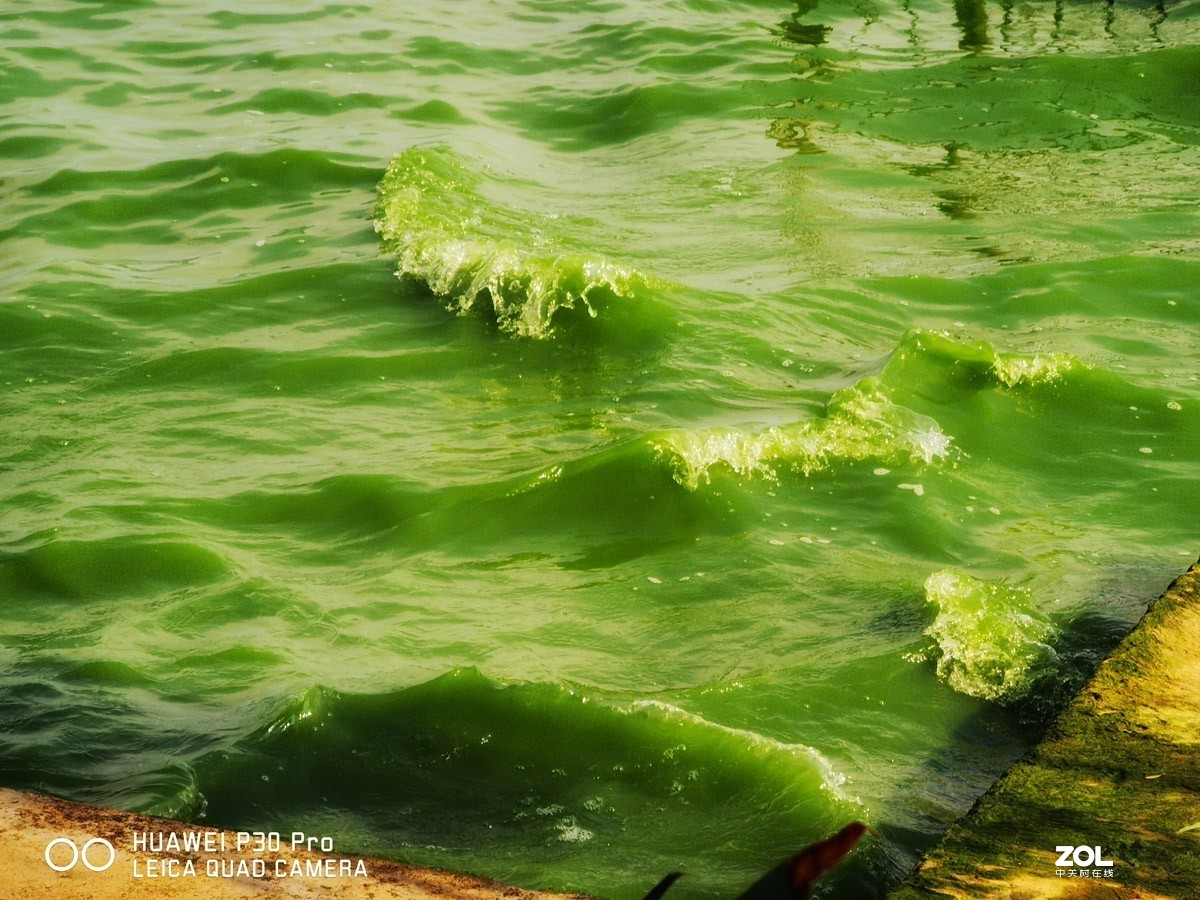 开屏新闻-点赞！昆工团队自主研发技术治理滇池泛滥藻类