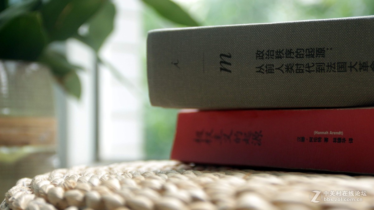 窗台静物一组