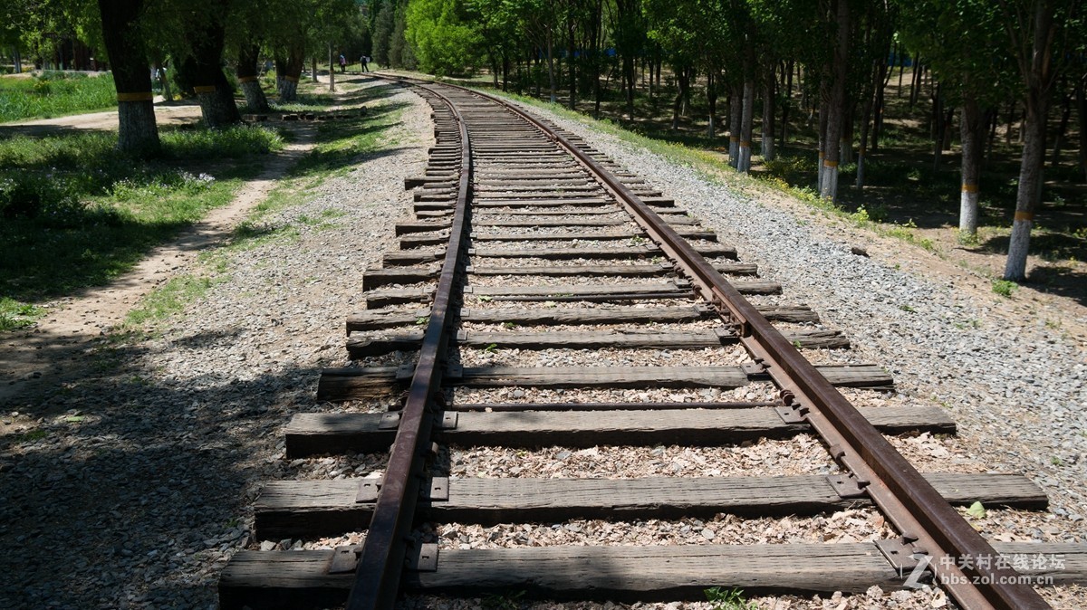 北京酒仙桥东边的将府公园风景如画