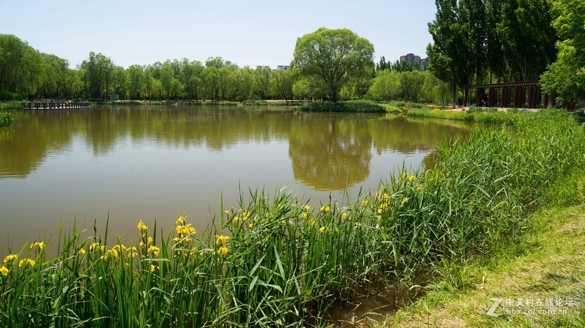 北京酒仙桥东边的将府公园风景如画