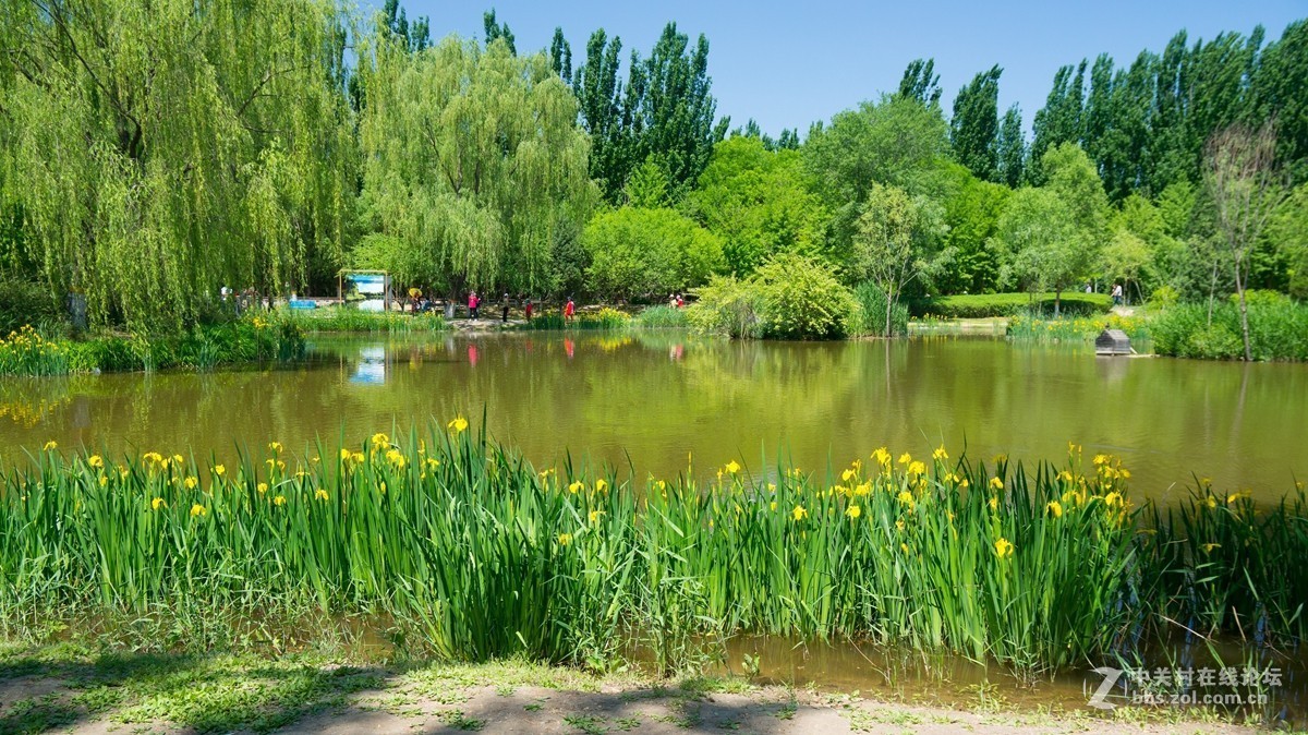 北京酒仙桥东边的将府公园风景如画