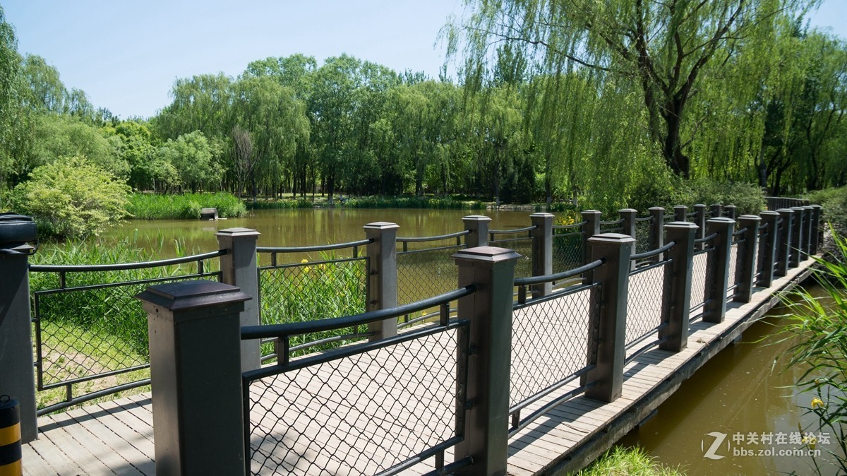 北京酒仙桥东边的将府公园风景如画