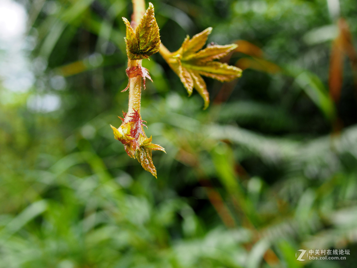 野趣——周日远足几片