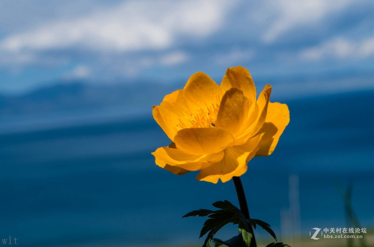 5月徒步赛里木湖随拍