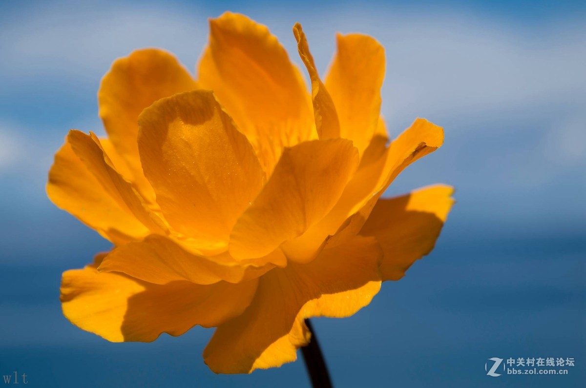 5月徒步赛里木湖随拍