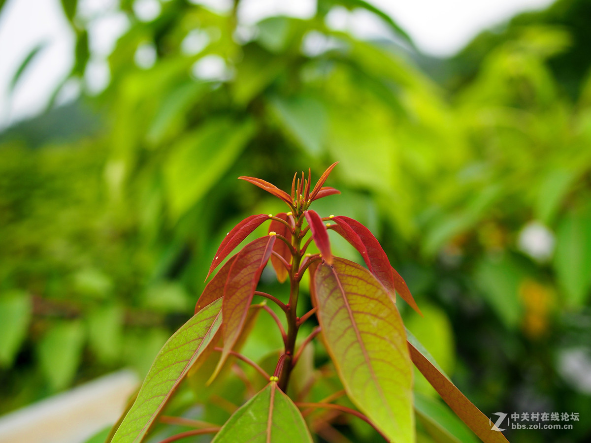 野趣——周日远足几片