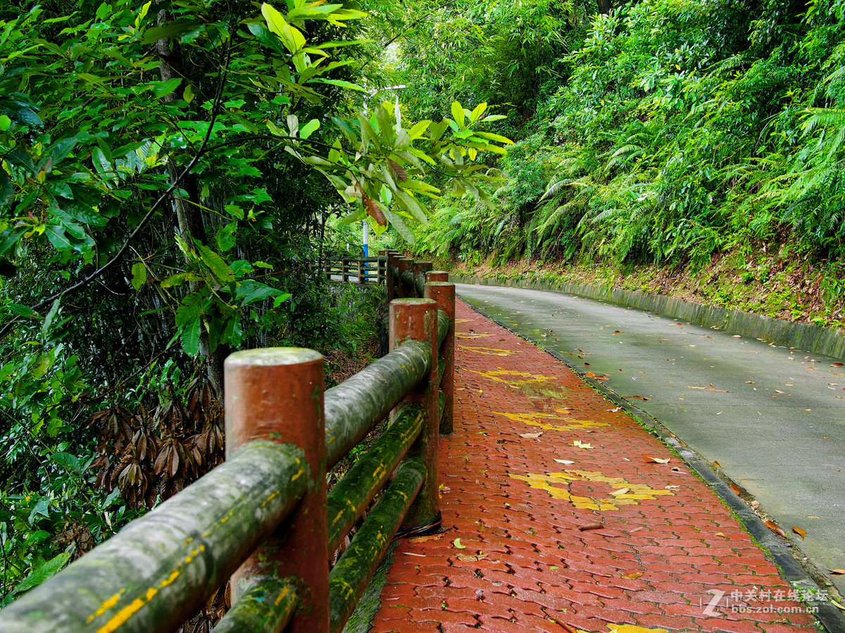 野趣——周日远足几片