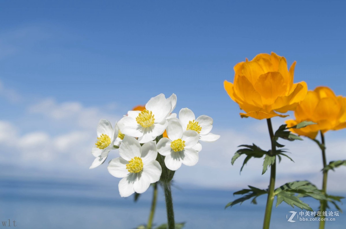 5月徒步赛里木湖随拍