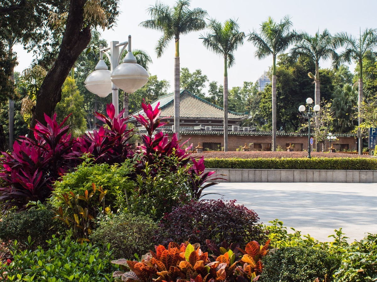 E-M10II转接老手动镜头行摄