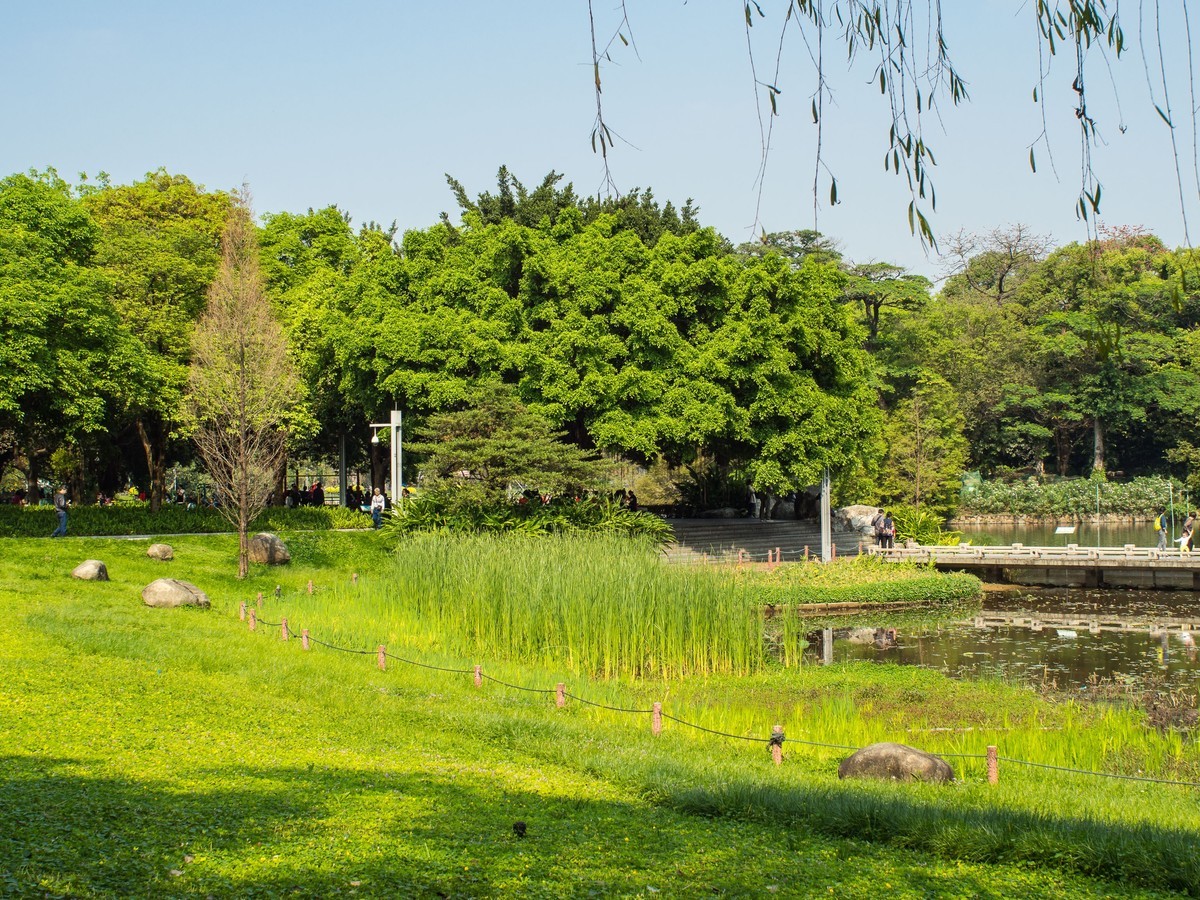 E-M10II转接老手动镜头行摄