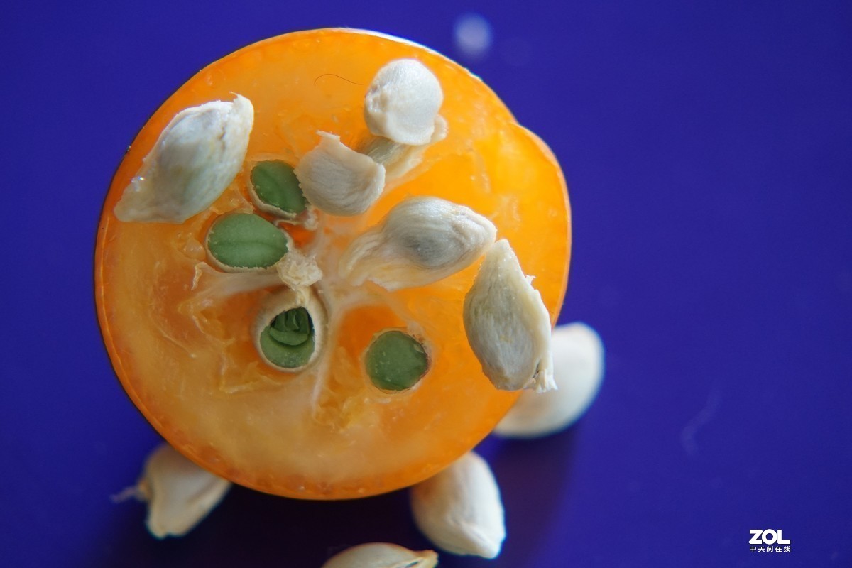 #版主坐堂#2020年4月份精华作品集锦